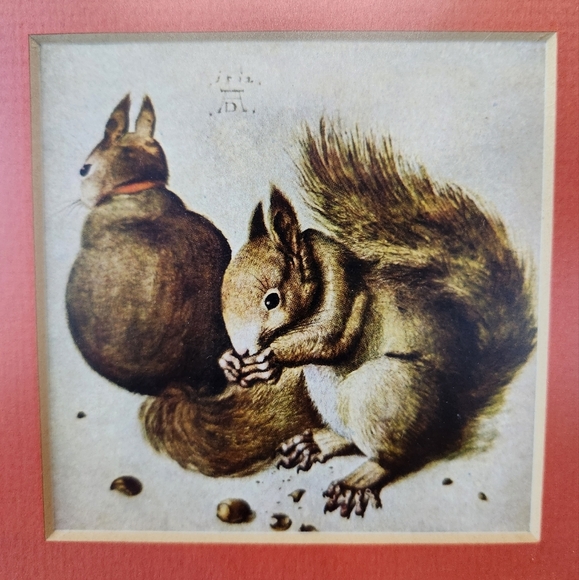 Vintage Albrecht Durer "Squirrel" Print - Picture 2 of 7
